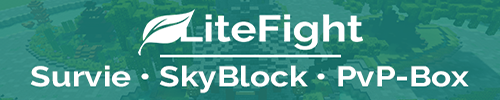 LiteFight