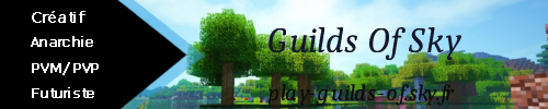 Guilds Of Sky