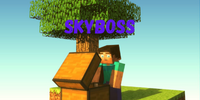 Skyboss